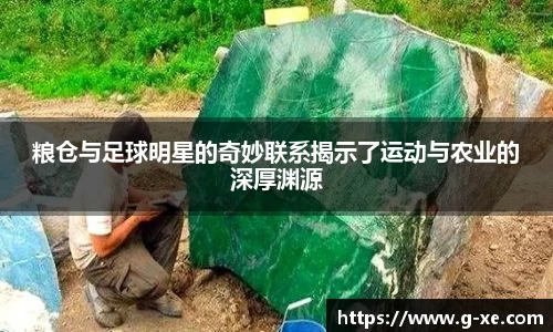 粮仓与足球明星的奇妙联系揭示了运动与农业的深厚渊源