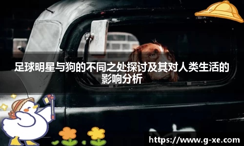 足球明星与狗的不同之处探讨及其对人类生活的影响分析